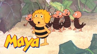 ¡Celebra el día de la Madre con La Abeja Maya 🐝 Mejores Episodios  Episodio completo  20 minutos [upl. by Sabec]