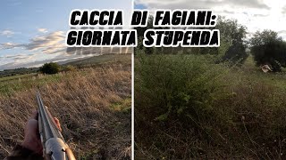 CACCIA DI FAGIANI quot UNA GIORNATA STUPENDA quot  4 fagiani [upl. by Elwina]