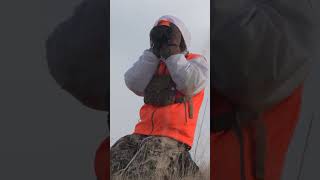 Spot and Stalking a Huge Mule Deer deerhunter deerhunting hunting [upl. by Cohen892]