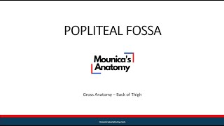 Gross Anatomy  Lower Limb  Popliteal Fossa [upl. by Vaenfila]