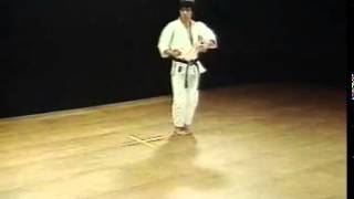 Heian Godan  Shotokan SKIF  Hirokazu Kanazawa [upl. by Stalker]