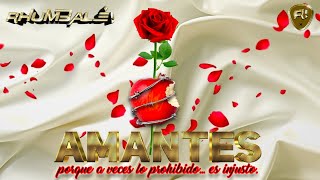 AMANTES  Rhumbalé Video Lyric [upl. by Lynea]