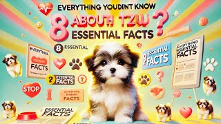 Everything You Didnt Know About Shih Tzu 8 Essential Facts [upl. by Drawd]