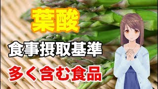 【栄養学の基礎】葉酸の食事摂取基準や多く含む食品、効率的な摂取方法を解説してみた！ [upl. by Hedberg]