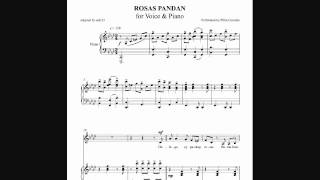 Rosas Pandan  Pilita Corrales Piano Accompaniment amp Vocals by aldy32 [upl. by Nelloc]