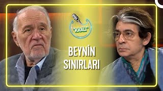 Beynin Sınırlarını Biliyor Muyuz  Muhabbet Kralı [upl. by Sainana]