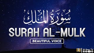 Relaxing Surah Al Mulk سورة الملك  Marvelous Quran Recitation  ALIHSAN TV [upl. by Vil987]