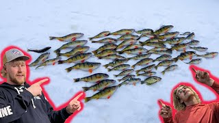 Ice Fishing In Northern Michigan Jumbo Perch [upl. by Cook]