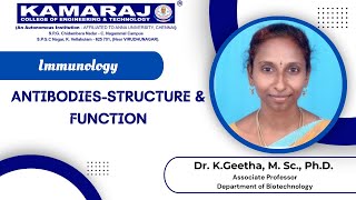 AntibodiesStructure amp Function [upl. by Ecart]
