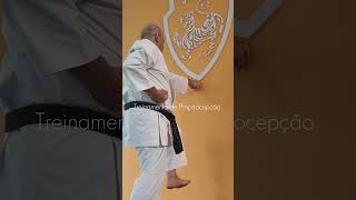 Treinamento de propriocepção shorts karate shotokan proprioception [upl. by Adekram]