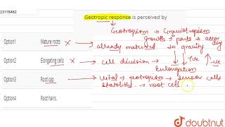 Geotropic response is perceived by [upl. by Chapell]