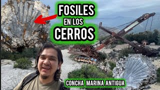 Fòsiles Antiguos En Los Cerros [upl. by Adnavoj]