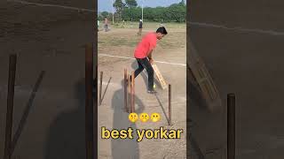 cricket aakashvani cricketleague viralshorts [upl. by Atiram865]