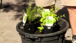 How To Plant Seedlings  DIY At Bunnings [upl. by Oirazan]