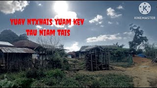 Mus yuav ntxhais yuam kev tau niam tais 27102024 [upl. by Airdua]