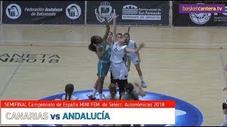 U12F  Selec CANARIAS vs ANDALUCÍA Semifinal Cpto España MINI FEM Selecciones Autonómicas 2018 [upl. by Ennairb]