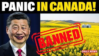 Canada Faces BILLION DOLLAR Loss as China Hits Canola Exports… What’s Next quotDAILYquotNEWSquot [upl. by Drews64]