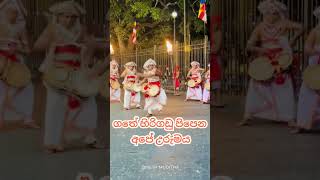 මේ අපේ සංස්කෘතියයි උරුමයයි අහන්න  Kandy Perahera [upl. by Batish183]