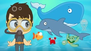 Aquatic Animals for Kids in Arabic  الحيوانات للأطفال  حيوانات البحر باللغة العربية للاطفال [upl. by Myrtie108]