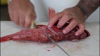 How to prep and cook a whole Rockfish [upl. by Hill507]