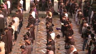 Shia muslims perform rituals of Muharram at Shia Jama Masjid [upl. by Nosdivad]