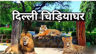 Delhi Zoo  दिल्ली चिड़ियाघर  Chidiya Ghar National Zoological Park vlogs vinay vlog viralvideo [upl. by Ellery]