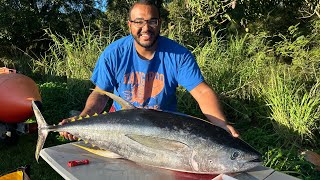 Hawaii Fishing BIG ISLAND Yellowfin tuna 68pounds [upl. by Ived]