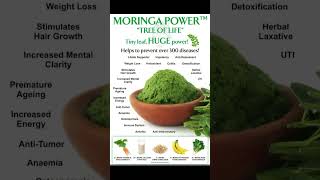 Health  Moringa A powerful Herb [upl. by Eidob683]