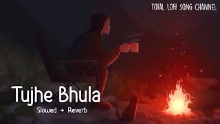 Har Pal Har Lamha Main Kaise Sehta Hoon  Lofi  Tujhe Bhula Diya  Mohit Chauhan  Total Lofi Song [upl. by Enamrahs866]