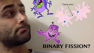 How to Mathematically Understand Binary Fission [upl. by Roehm787]