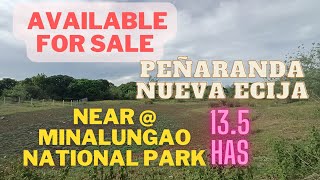 vlog115 Farm Lot Available For Sale Peñaranda Nueva Ecija 135 Hectares [upl. by Relda143]