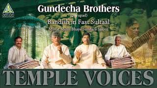 Gundecha BrothersDhrupad  Bandish  Fast Sultaal Murat Mann Bhaye Sundar Live at Saptak Festival [upl. by Nickolai]