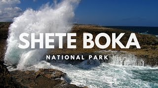 Pro Tips for Exploring Curacaos Shete Boka [upl. by Nemrac]