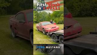 Abandoned Ford Mustang Barn Find Gets First Wash in 8 Years  Satisfying Car Detailing Restoration [upl. by Tice]