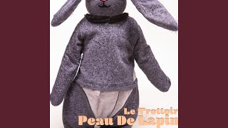 Peau de lapin [upl. by Ferris]