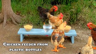 Super cheap chicken waterer and feeder [upl. by Bodkin]