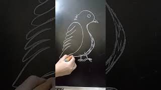 Easy Way To Draw A Bird  Birds Drawing shorts drawing birds [upl. by Sklar]