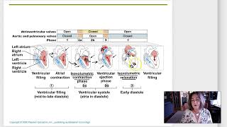 Week 7 Lecture 3 Cardiac cycle and output [upl. by Etnelav]