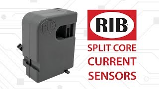 RIB® Split Core Current Sensors [upl. by Conte]