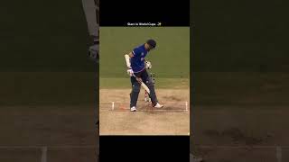 Mitchell Starc status video cricket australiancricketer cricketlover michelstarc cricketplayer [upl. by Birkner233]