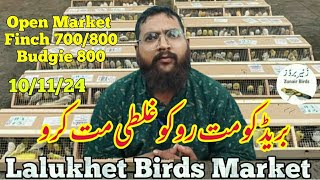 lalukhet sunday birds market 101124 birds rate list 2024 lalukhet birds market 2024zunair birds [upl. by Magdalena]