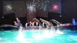 Dolfinarium Harderwijk  show Aqua Bella in 4K Ultra HD [upl. by Obeng]