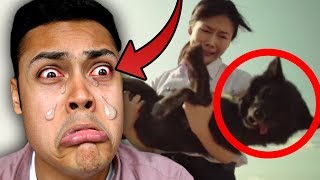 REACTING TO THE MOST SAD VIDEOS IN 2017 YOU 100 WILL CRY [upl. by Naoh]