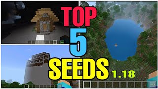 TOP 5 BEST SEEDS OF MINECRAFT 118  in Hindi [upl. by Fitton]