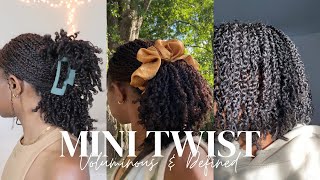 Mini Twist Tutorial Voluminous amp Defined Mini Twist Callmelexi [upl. by Vivyanne]