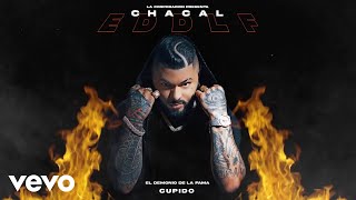 Chacal  CUPIDO Cover Video [upl. by Adnawyek]