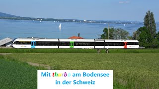 Schweiz Altnau Bodensee Thurbo🔃entlang am Bodensee mit Stadler FLIRT SBB RABe523 [upl. by Jun]