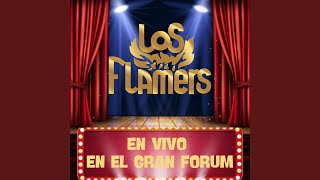 LLegaron los Flamazos En Vivo Gran Forum [upl. by Ardnikal]