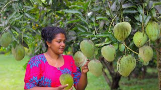 quotOrganic Tropical Giant Mangoesquot🥭🥭In My Backyard Filled With Super Sweet Mango Meat [upl. by Alieka]