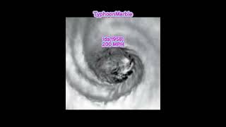 Top 10 The Windiest Typhoon in The World [upl. by Irot545]